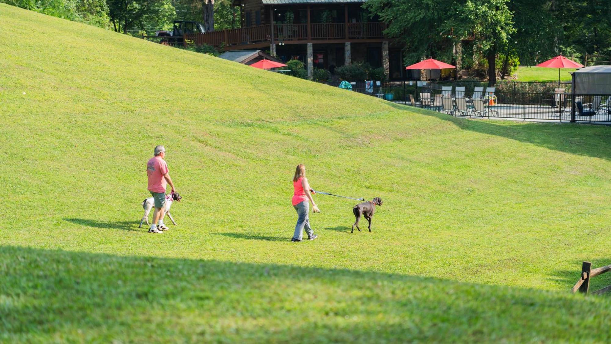 Yoli Bear Hideaway Vila Sevierville Exterior foto
